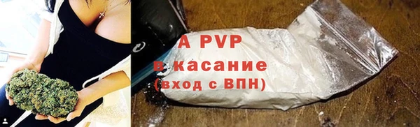 крисы Абаза
