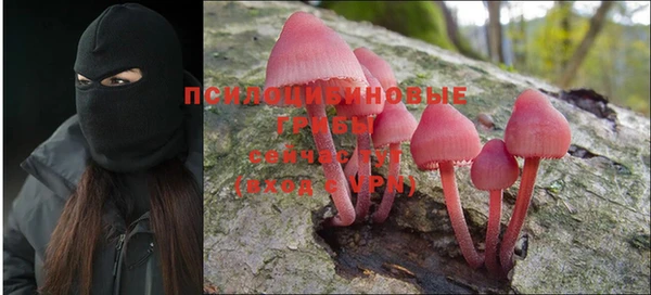 хмурый Пестово