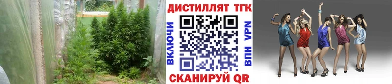 Дистиллят ТГК концентрат  как найти закладки  Ак-Довурак 