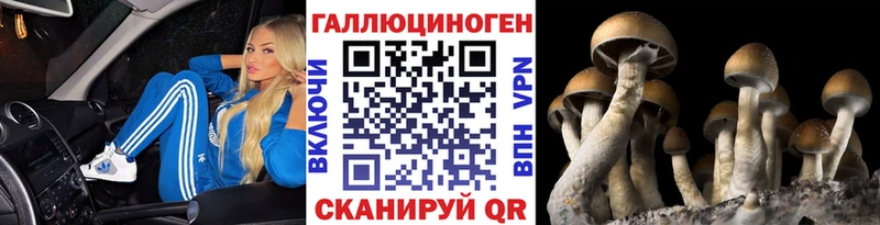 Псилоцибиновые грибы Psilocybe где купить Ак-Довурак